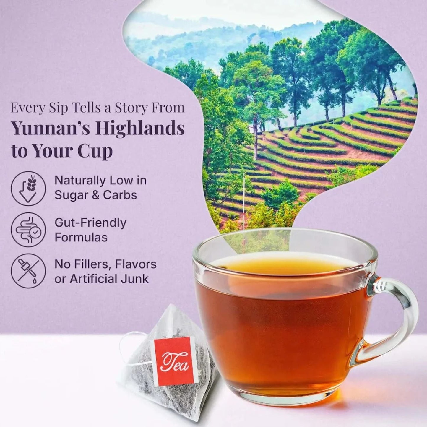 PiPi Tea – Natu﻿rally Packed With Antioxidants To Help Restore Health Inside and Out